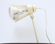 Lataa kuva Galleria-katseluun, Alppilamppu
