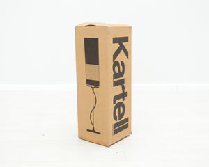Kartell Easy kattovalaisin