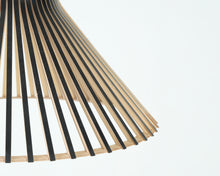 Lataa kuva Galleria-katseluun, Secto Design Puncto 4203 riippuvalaisin
